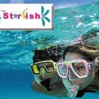 Starfish Snorkeling Tours Marathon image 2